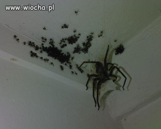Wtf???