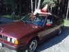 Jest BMW, jest las jest impreza !!