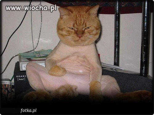 Teraz tak modnie ...wiocha...