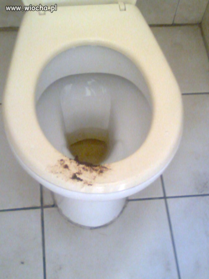 Kibel w mojej szkole 