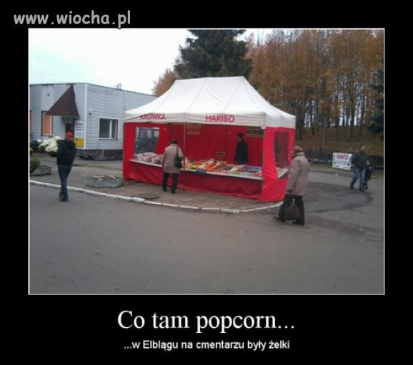 Niedługo zaczną stawiać budki z hamburgerami...