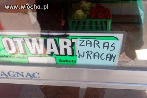 Wykształcona ekspedientka