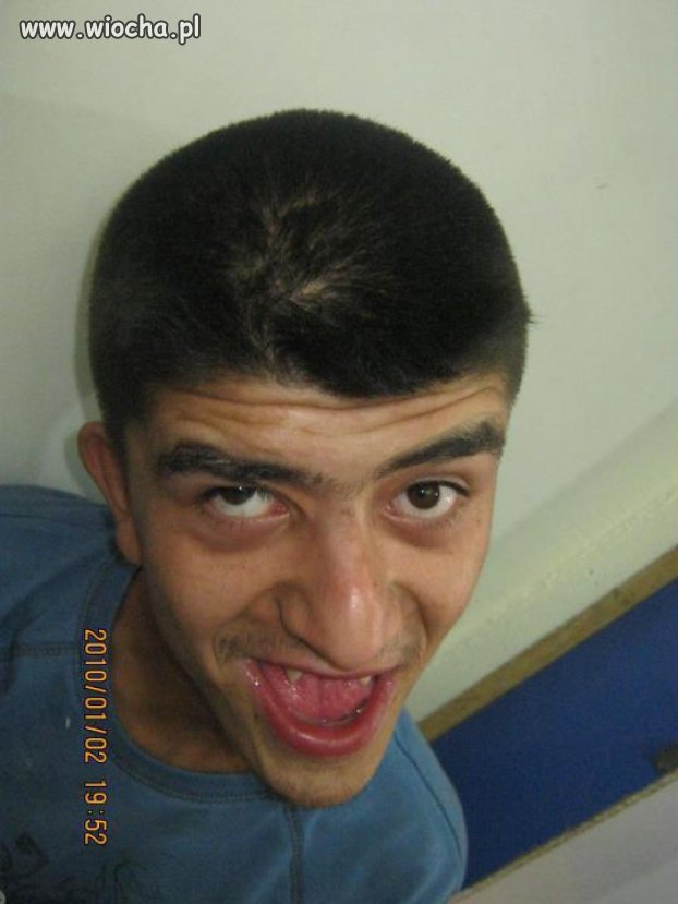 Siema bejbe 