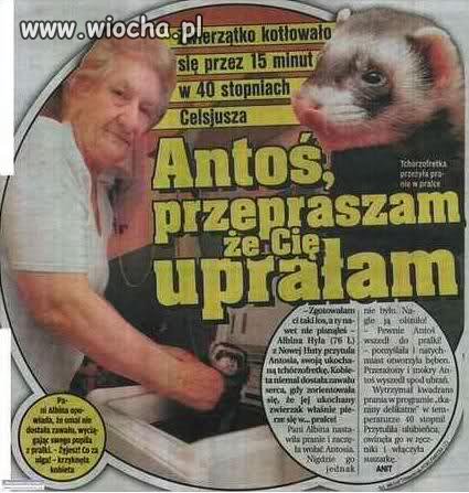 Antoś...