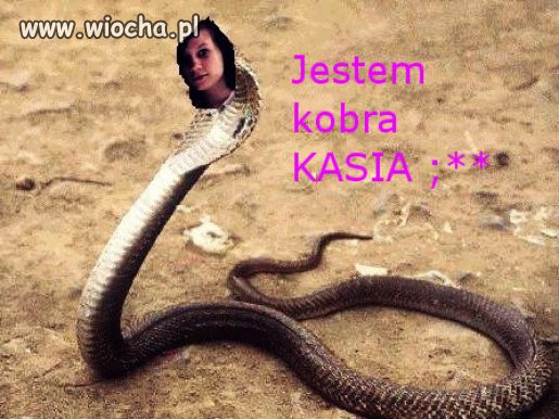 Ala Kobra