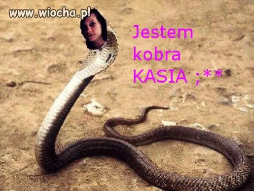 Ala Kobra