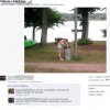 Martyna