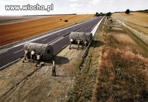 A o to, co będzie się działo na polskich drogach