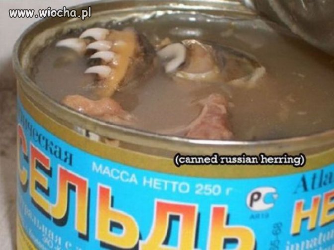 Zębaty coś ten śledzik!