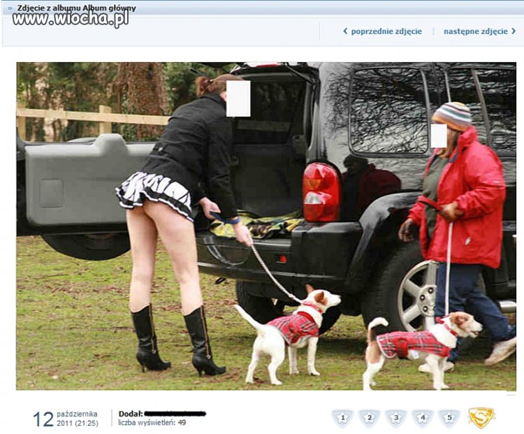 Pieski w ubrankach bo zimno