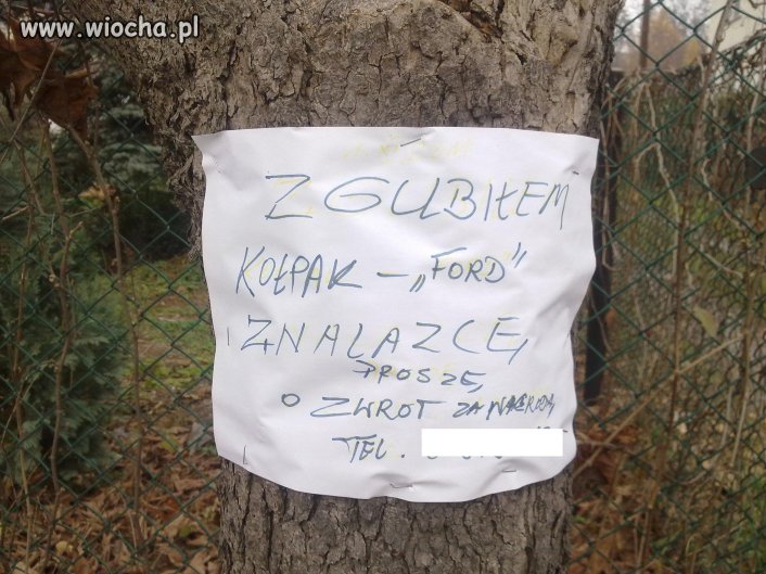Trafne ogłoszenie...