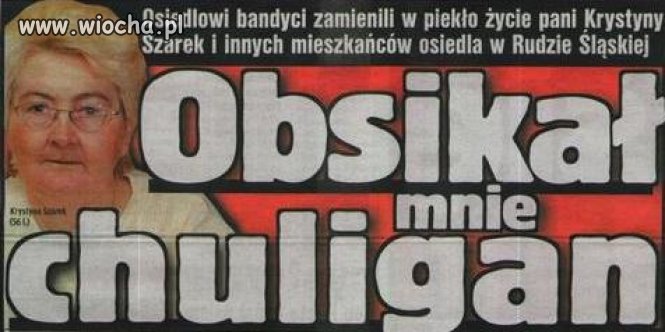Artykuł z gazety "fakt" 