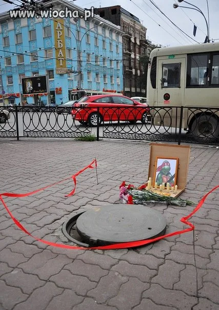 Wojowniczy żółw ninja