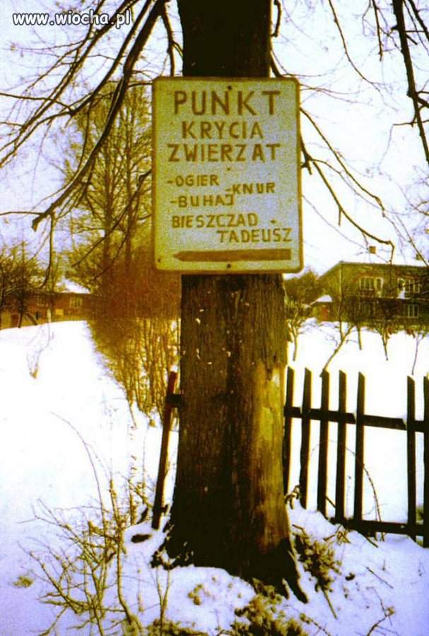 Punkt krycia