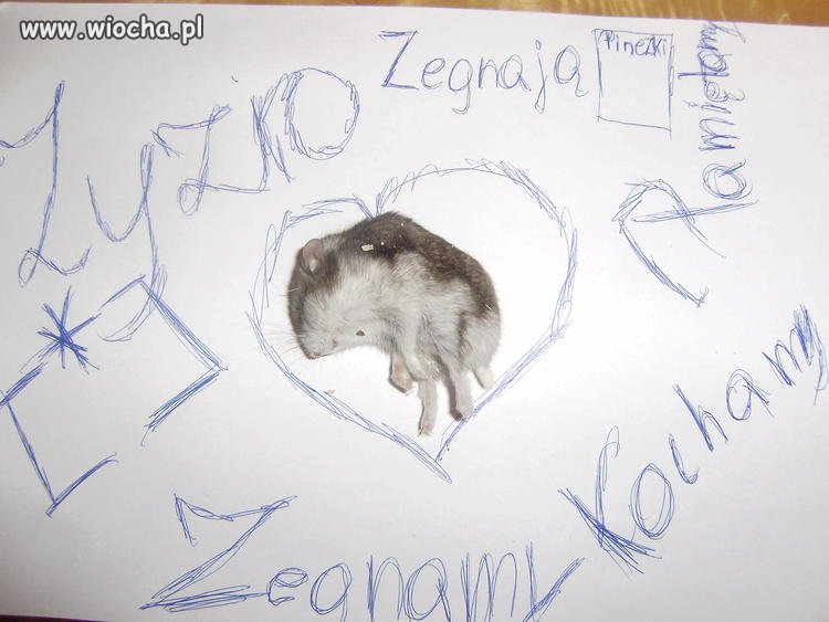 Zapalmy znicza