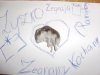 Zapalmy znicza