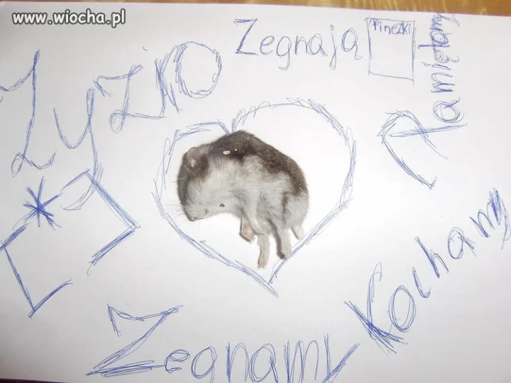 Zapalmy znicza
