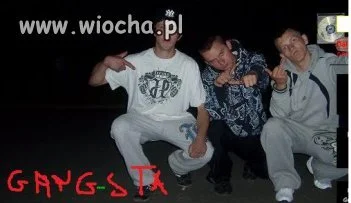 Gangsta no nie?