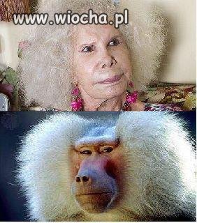 W sumie nie ma żadnej różnicy 