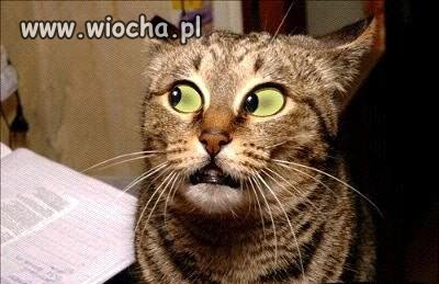 Mówiłeś to do mnie? 