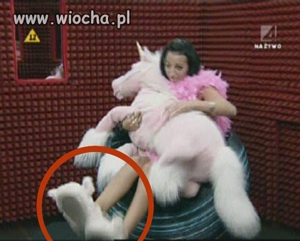 Jeśli uważacie tak jak ja, że Jola 