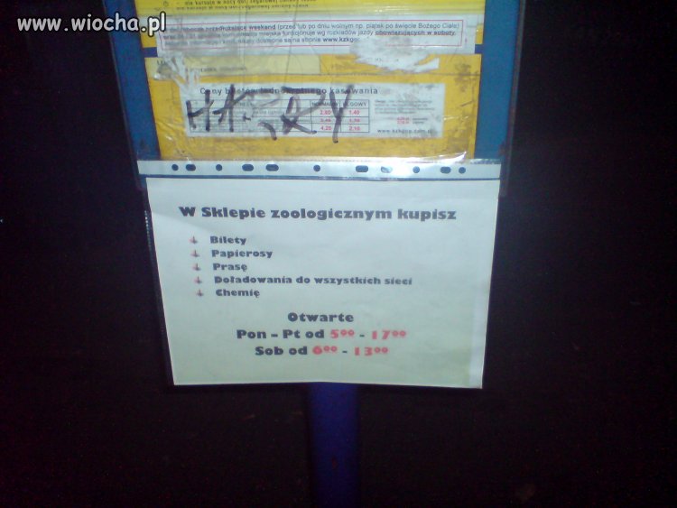 W sklepie zoologicznym