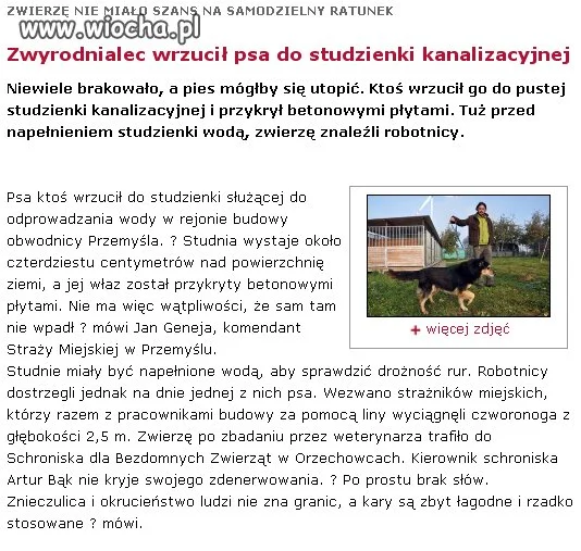 Odważny "Pan"