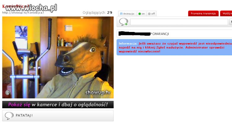 Koń na wizji