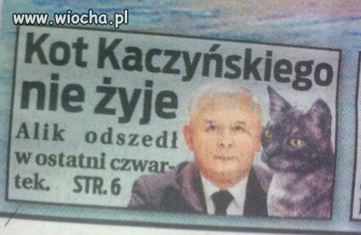 Nawet zwierzęta przeżywają śmierć Hanki...