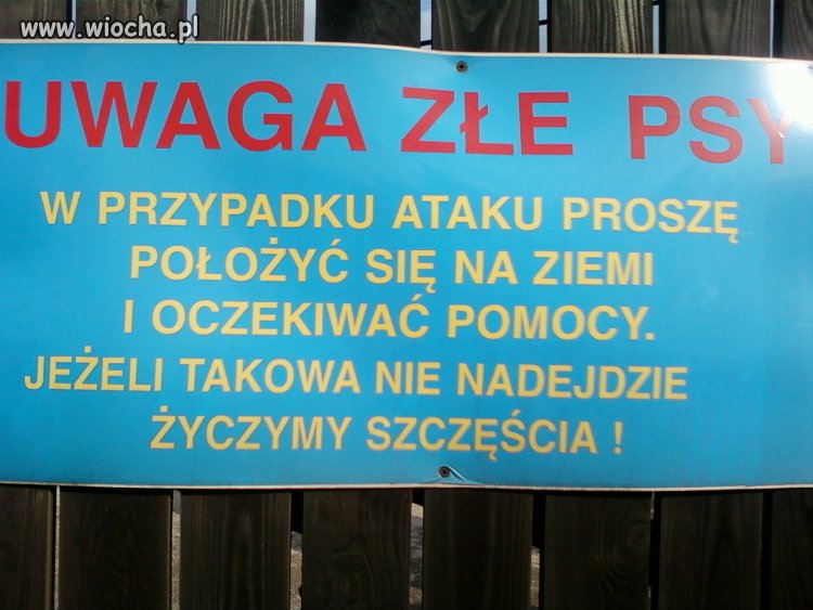 Podejście Właścicela 