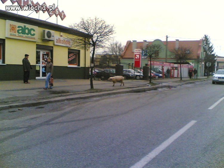 Kłobuck City