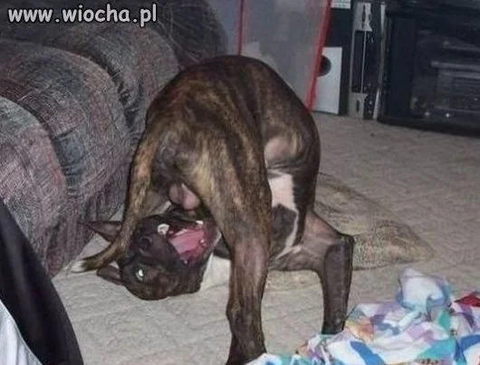 On jeszcze nie jest świadomy,