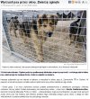 JEŚLI UWAŻASZ ŻE TO WIOCHA I BESTIALSTWO