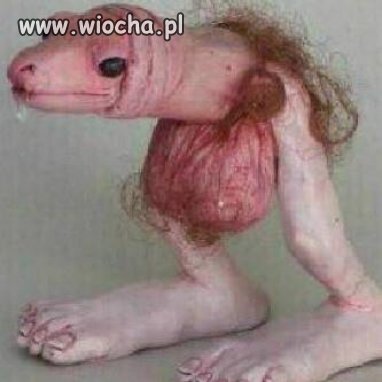 Wtf?