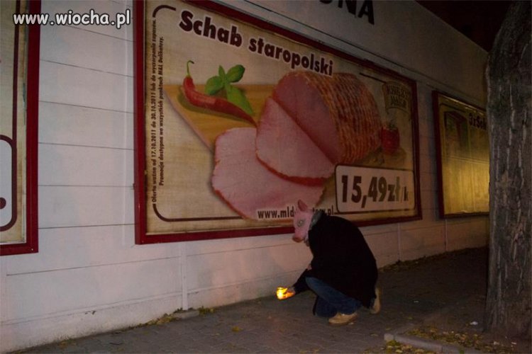 Schab staropolski.