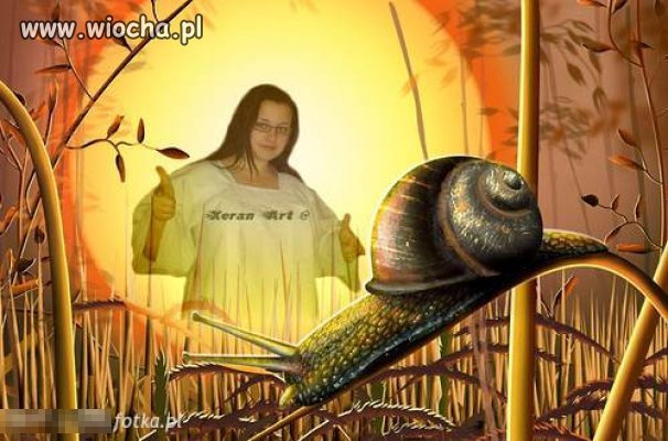 Co wam to przypomina?