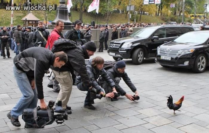 Konferencja prasowa