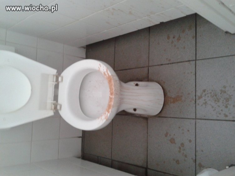 Dbałość o czystość w naszej szkole...