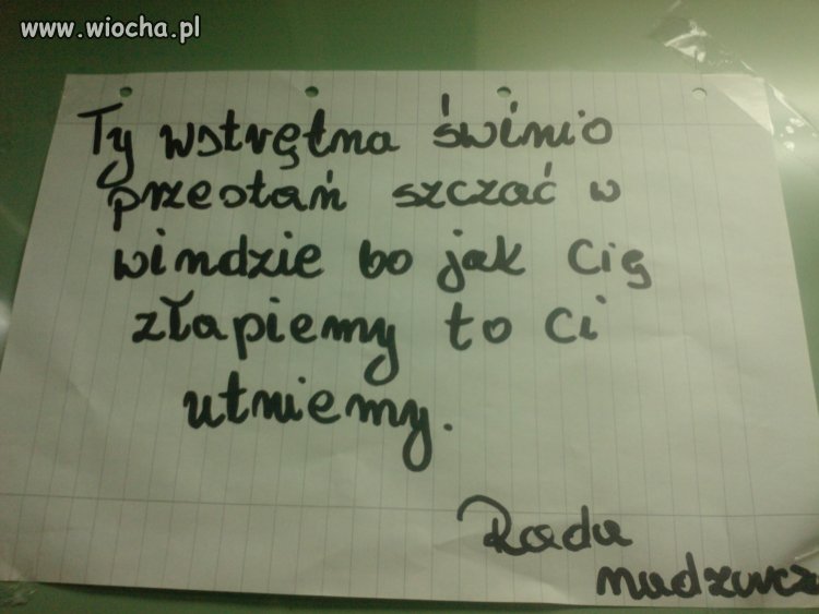Moi sąsiedzi 