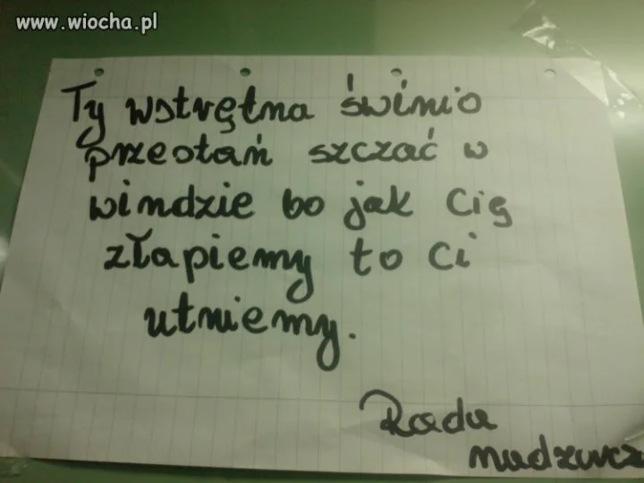 Moi sąsiedzi 