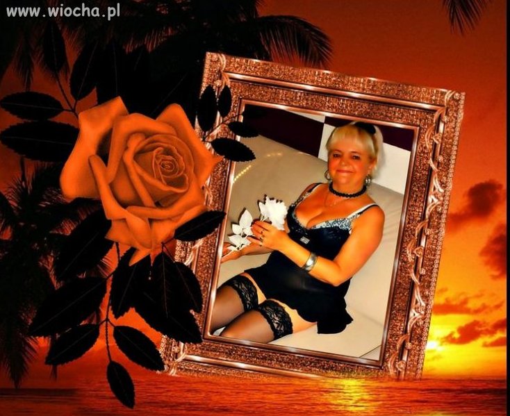 Ponad 200 takich zdjęć w galerii...