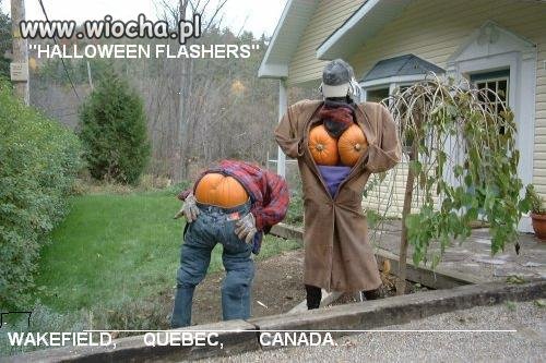 Wersja porno halloween