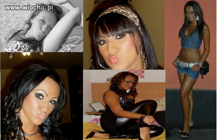 Miss Dzióbek