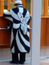 Szatańsko wściekła zebra