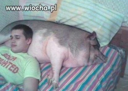Bo wygodna podusia jest najwazniejsza..