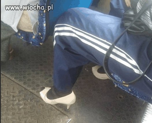 Nowa moda.