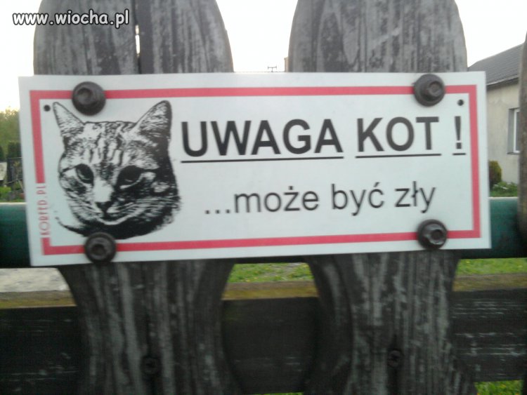 Aż tak groźny? 