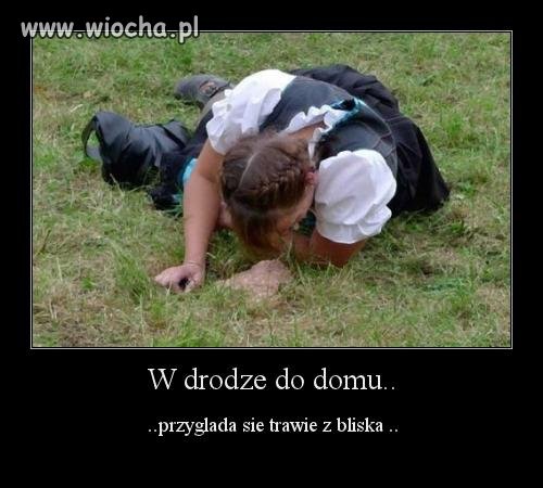 W drodze do domu