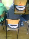 Majteczki w panterke...