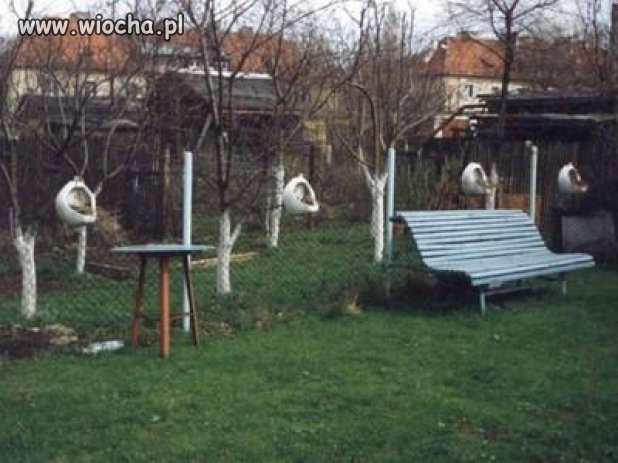  Miłośnik której partii